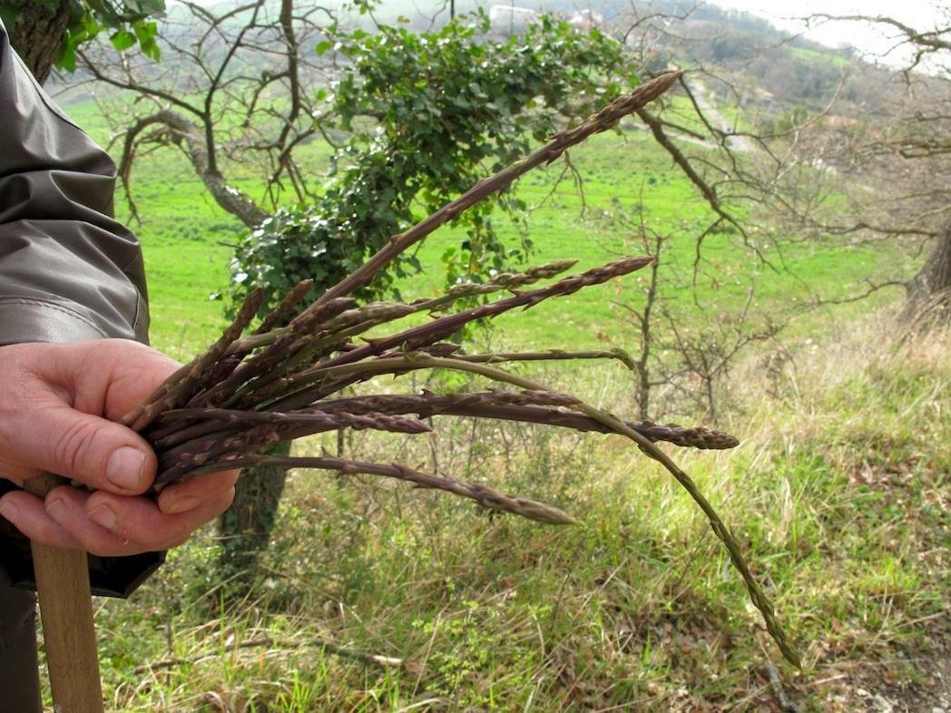 مبيت وإفطار Auletta L'Oasi المظهر الخارجي الصورة